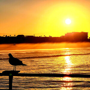 Morning Sun