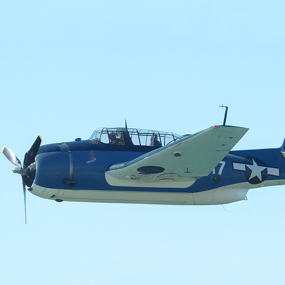 Blue Baron