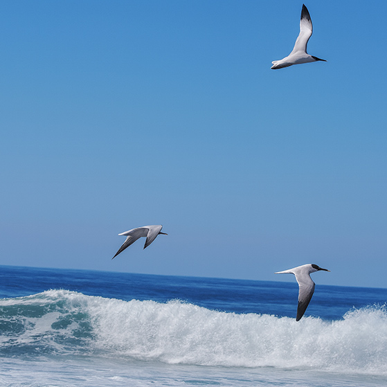 In Flight